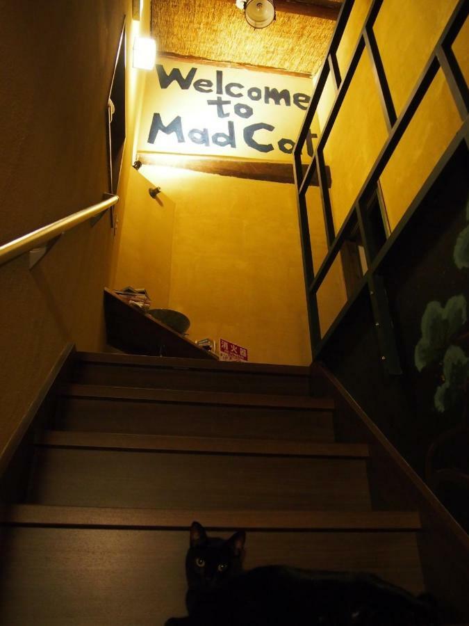 Mad Cat Hostel Osaka&Bar Exterior foto